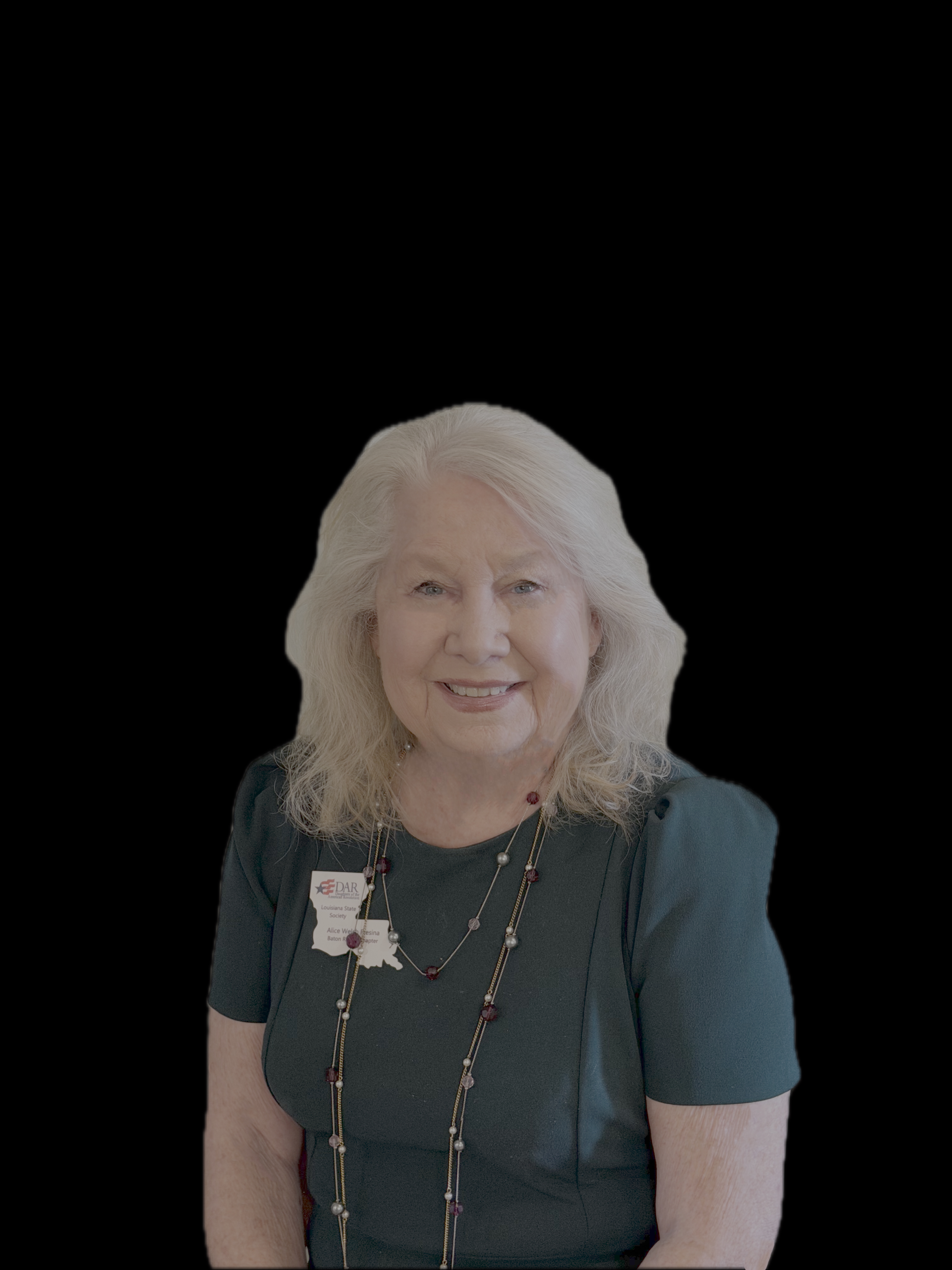 Officer portrait silhouette